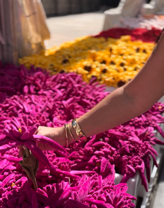 Wild Vie in New York City: Everyday Hydration for the Modern Explorer